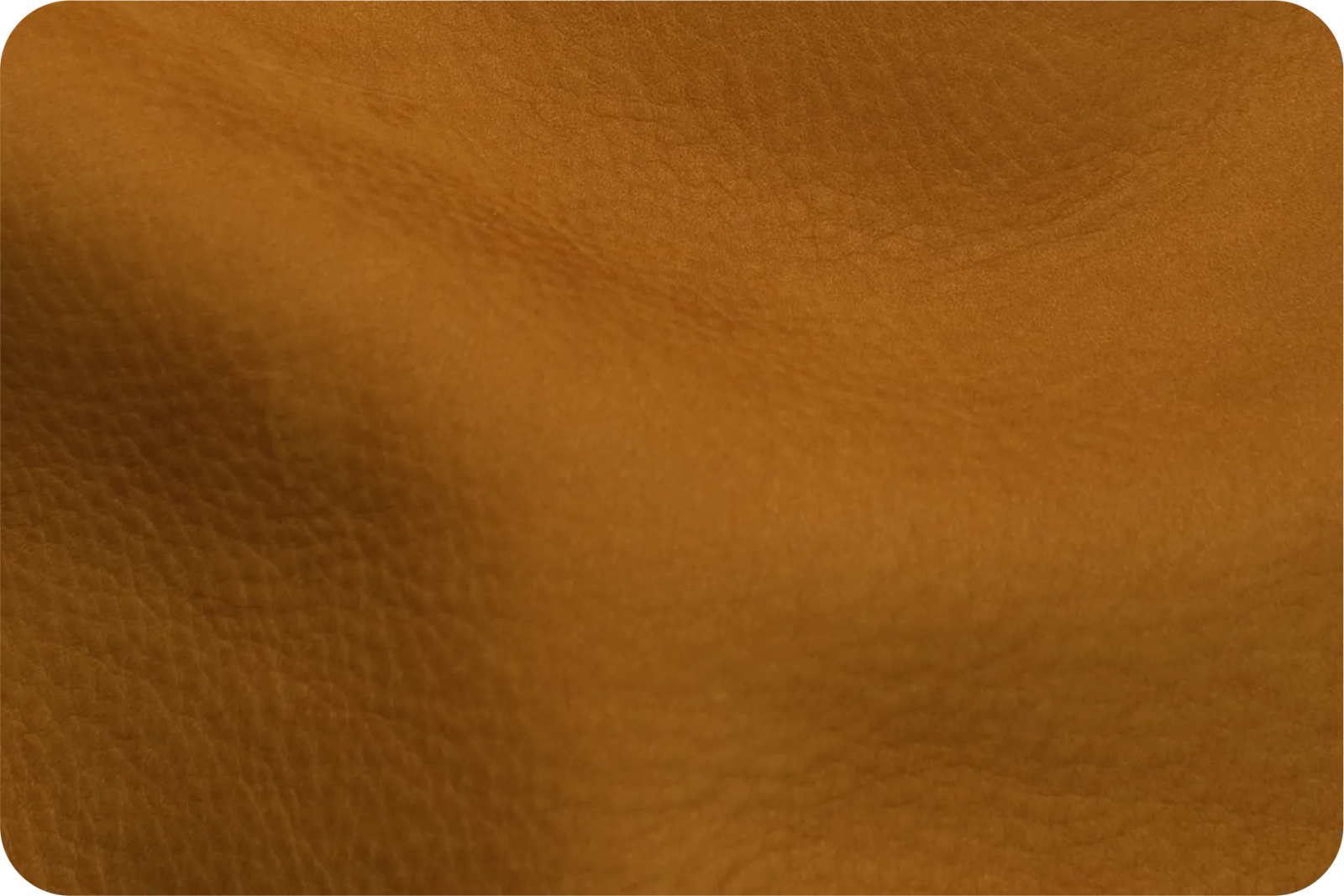 Pazzo Nabuk Collection Main