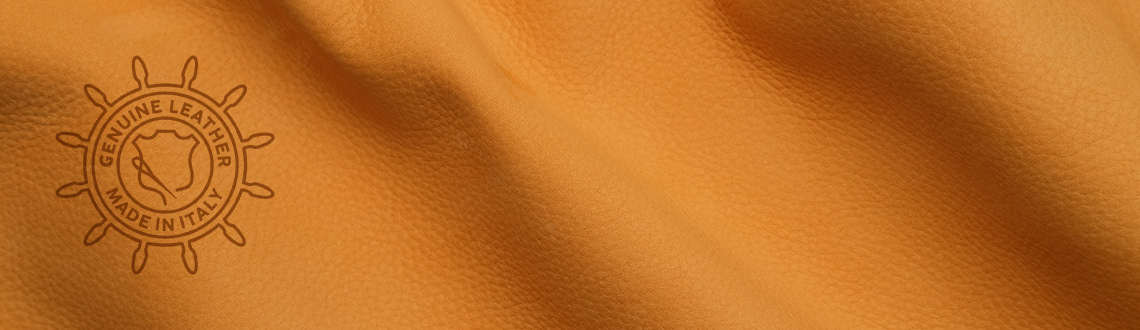 Pazzonabuk Collection